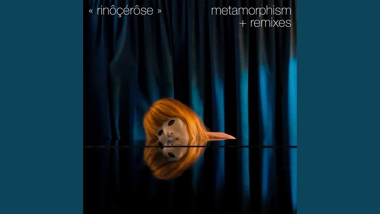 Pochette de l'album psychôanalysis de rinôçérose